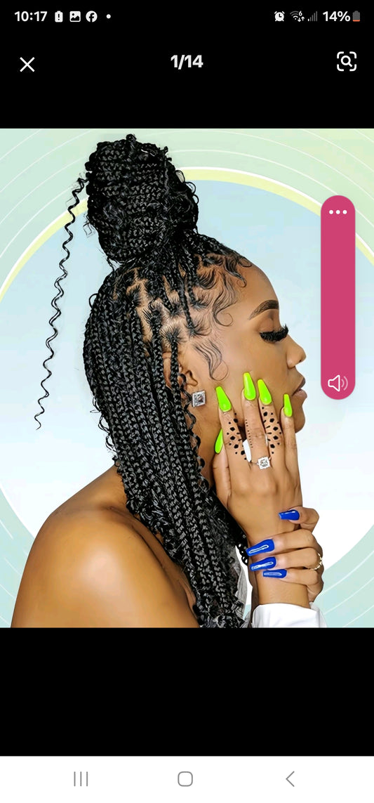 Glueless Braided Wig with Baby Hairs